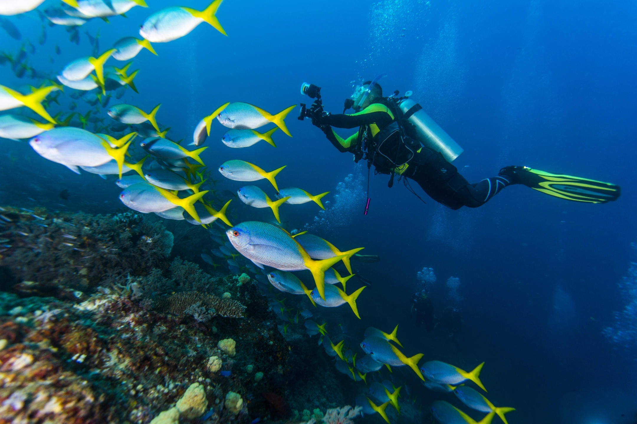Diving-JV_20131112_075504-1.webp