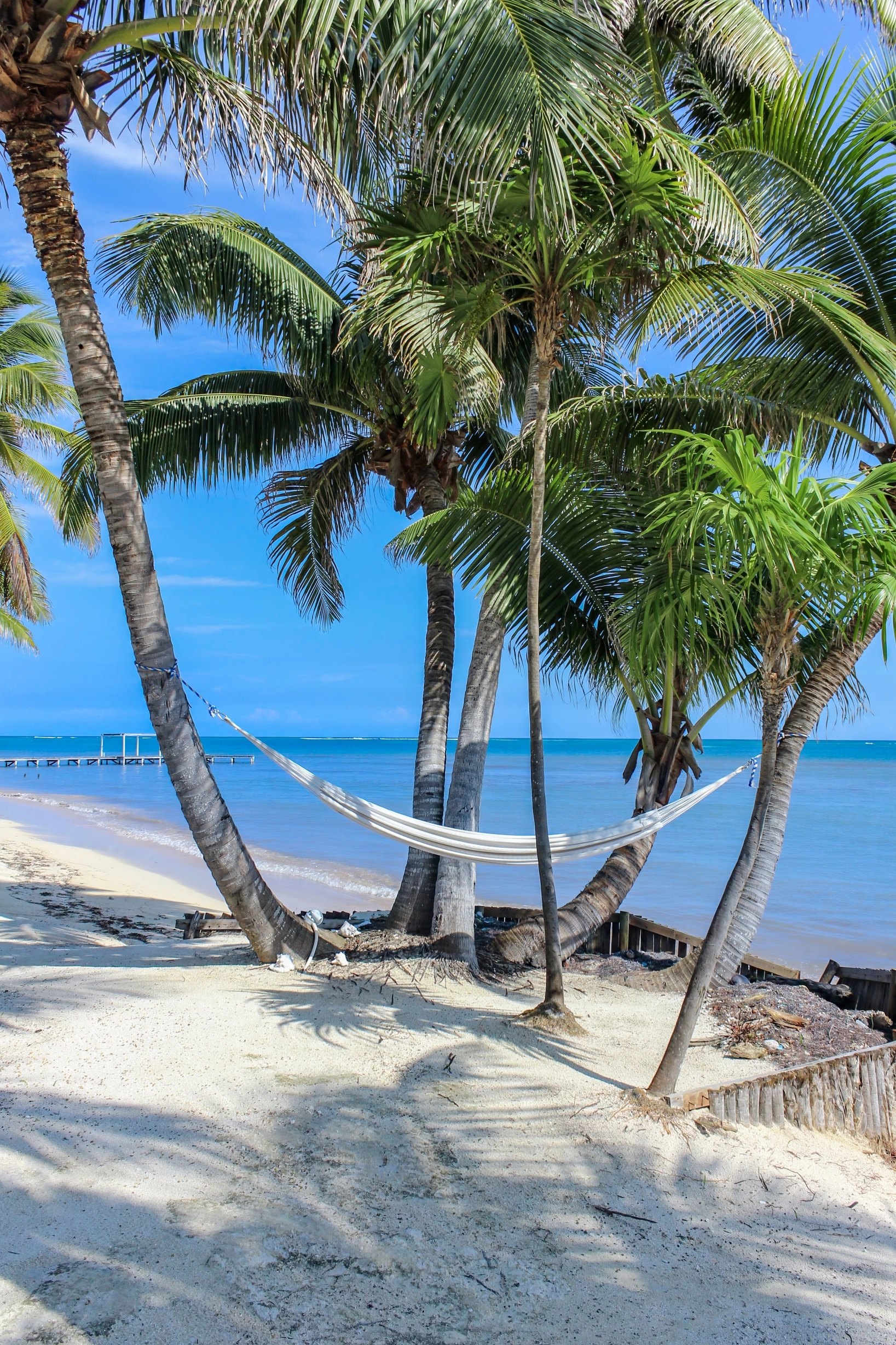HammockBeachAtSapphire-JV_20230309_234223_1477758922.webp