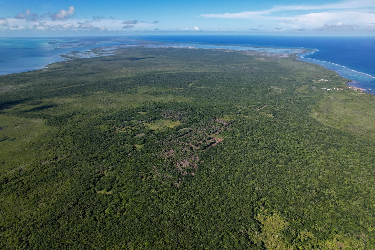 MangroveCrossing-Drone2025Sept-IMG_20250906_154936_DJIv0670-1.webp