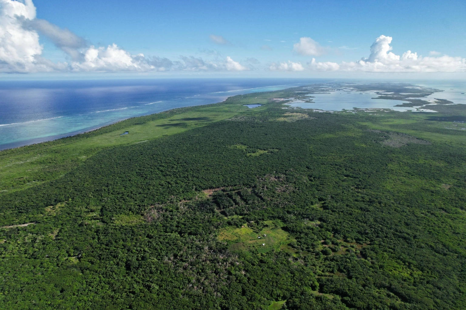 MangroveCrossing-Drone2025Sept-IMG_20250906_155541_DJIv0686-1.webp